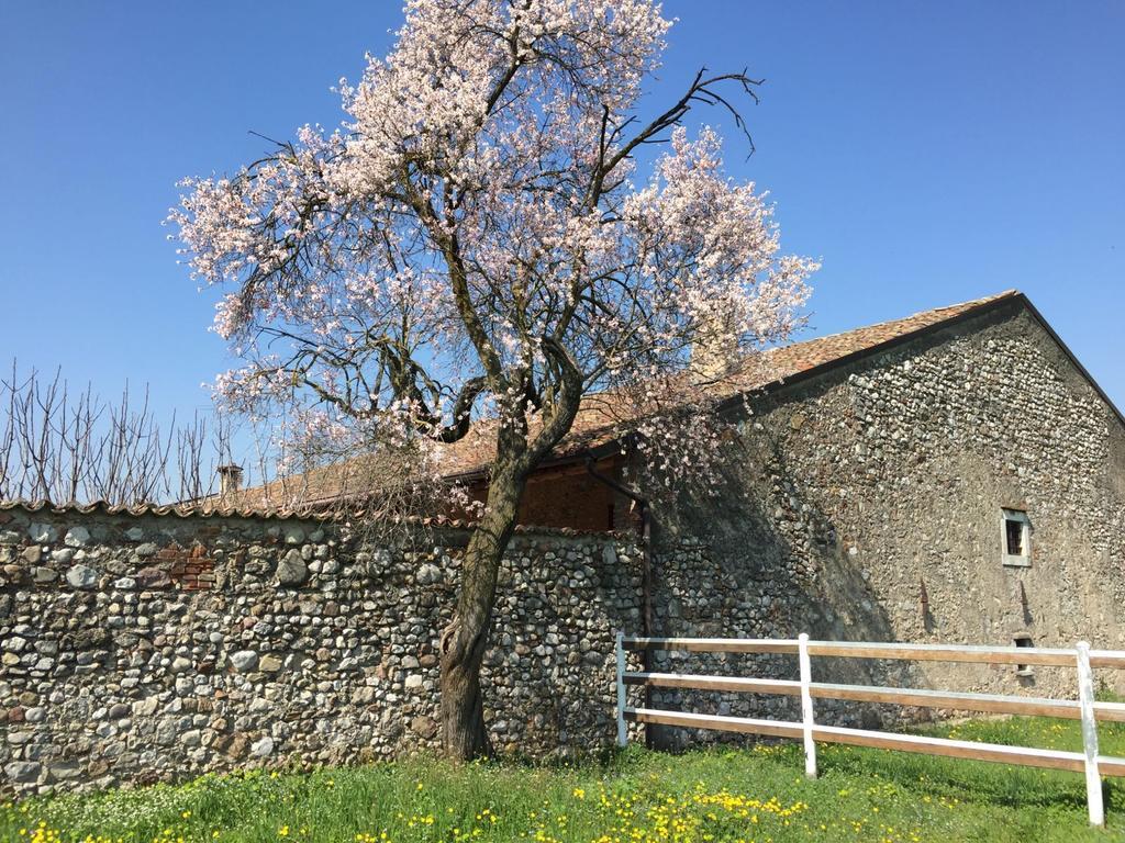 Bed and Breakfast Antico Cascinale Lombardo Lonato Exteriér fotografie